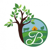 Bryndu Caravan & Camping